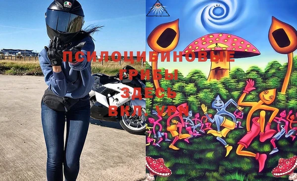 ECSTASY Абинск